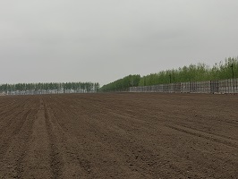 微信图片_20230505165919.jpg