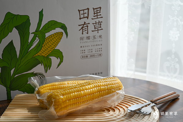 田里有草当季新玉米抢“鲜”上市，处处飘来玉米香