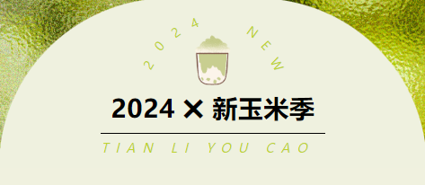 2024新玉米「尝鲜官」就是你了！